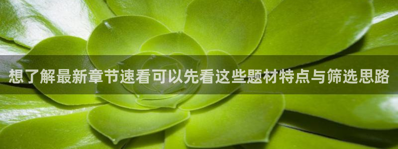 漫画岛漫画大全:想了解最新章节速看可以先看这些题材特点与筛选思路