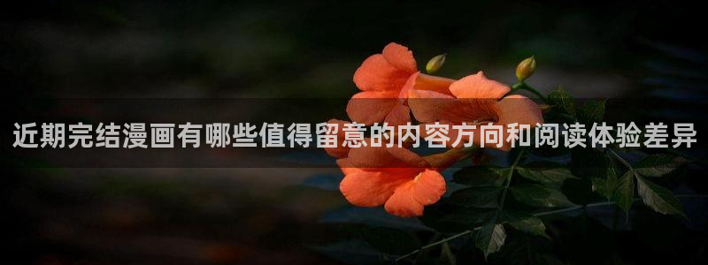 漫画岛热门连载：近期完结漫画有哪些值得留意的内容方向和阅读体验差异