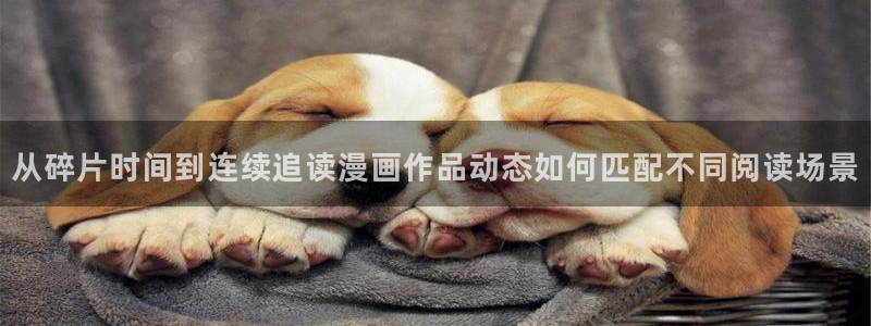 漫画岛网页入口